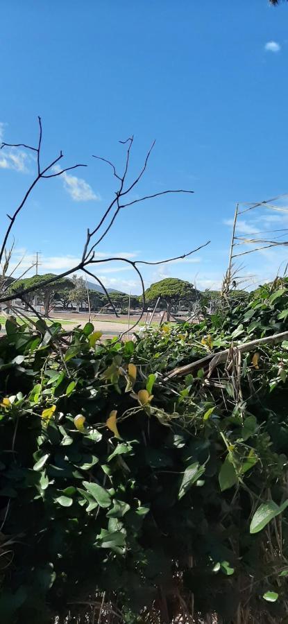 Les Iles D'Or Au Port De Hyeres Grand Studio Climatise 외부 사진