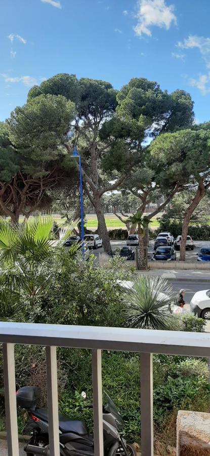 Les Iles D'Or Au Port De Hyeres Grand Studio Climatise 외부 사진