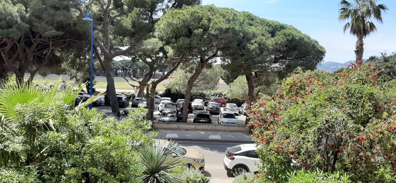 Les Iles D'Or Au Port De Hyeres Grand Studio Climatise 외부 사진