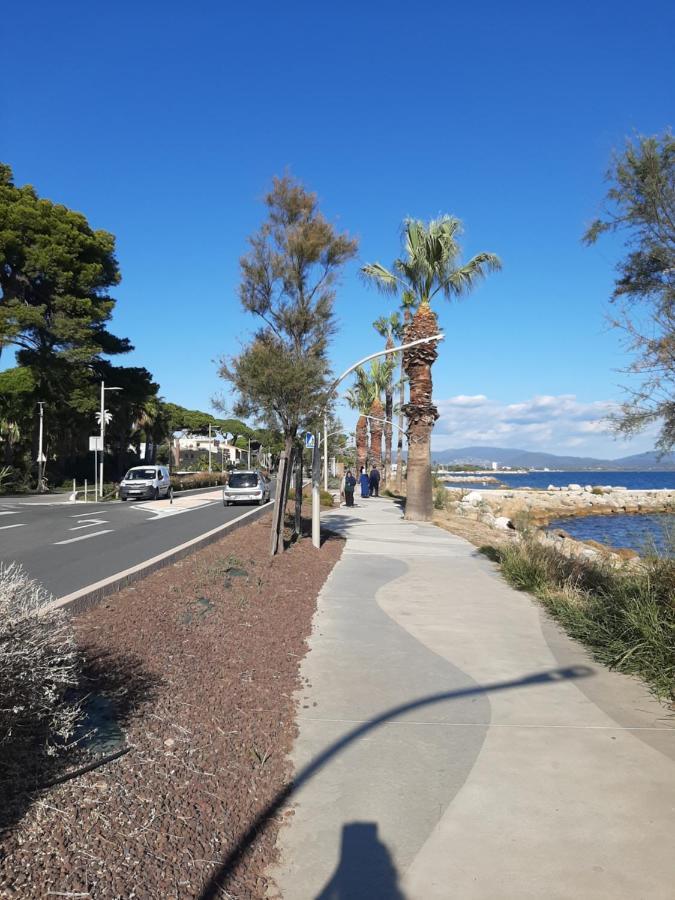 Les Iles D'Or Au Port De Hyeres Grand Studio Climatise 외부 사진
